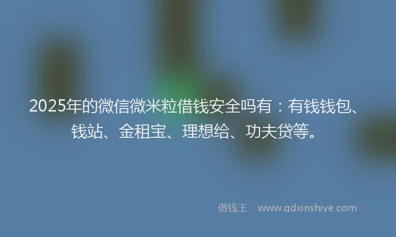 2025年的微信微米粒借钱安全吗有：有钱钱包、钱站、金租宝、理想给、功夫贷等。