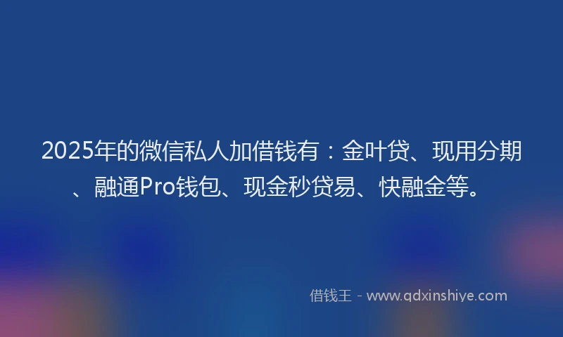 2025年的微信私人加借钱有：金叶贷、现用分期、融通Pro钱包、现金秒贷易、快融金等。