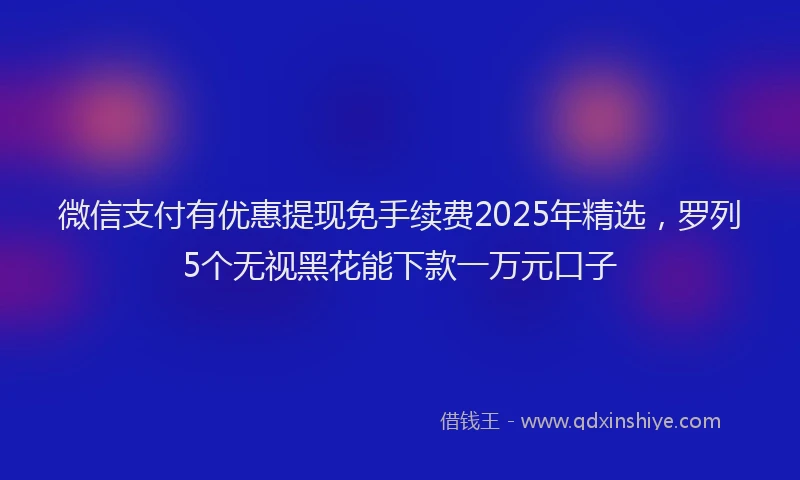 微信支付有优惠提现免手续费2025年精选，罗列5个无视黑花能下款一万元口子
