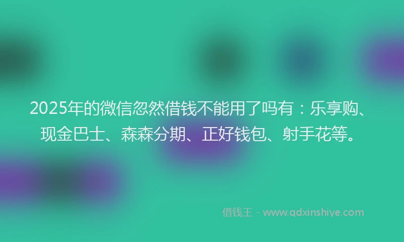 2025年的微信忽然借钱不能用了吗有：乐享购、现金巴士、森森分期、正好钱包、射手花等。