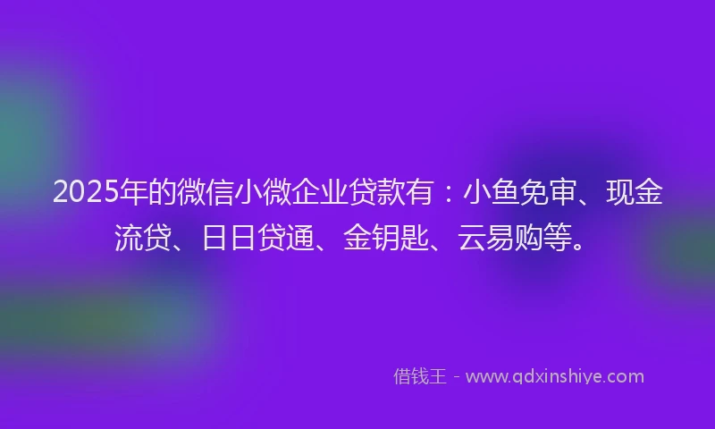 2025年的微信小微企业贷款有：小鱼免审、现金流贷、日日贷通、金钥匙、云易购等。