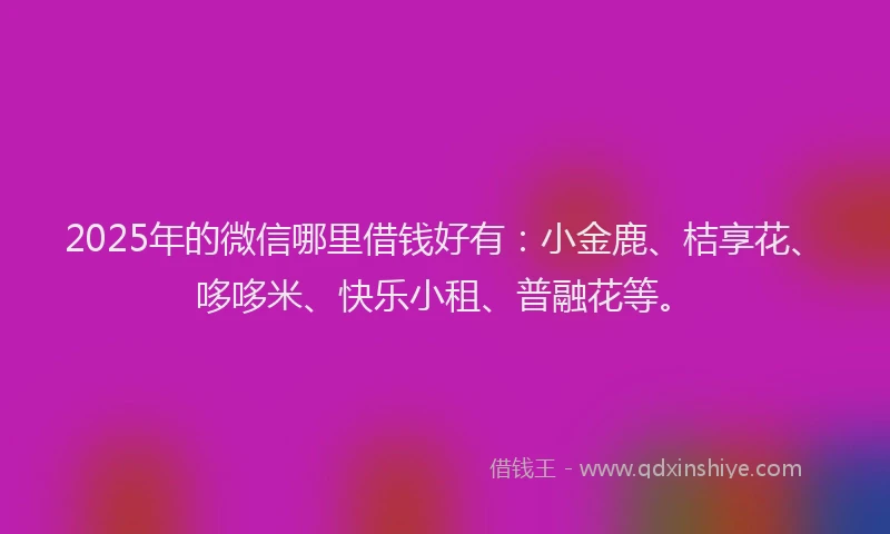 2025年的微信哪里借钱好有：小金鹿、桔享花、哆哆米、快乐小租、普融花等。