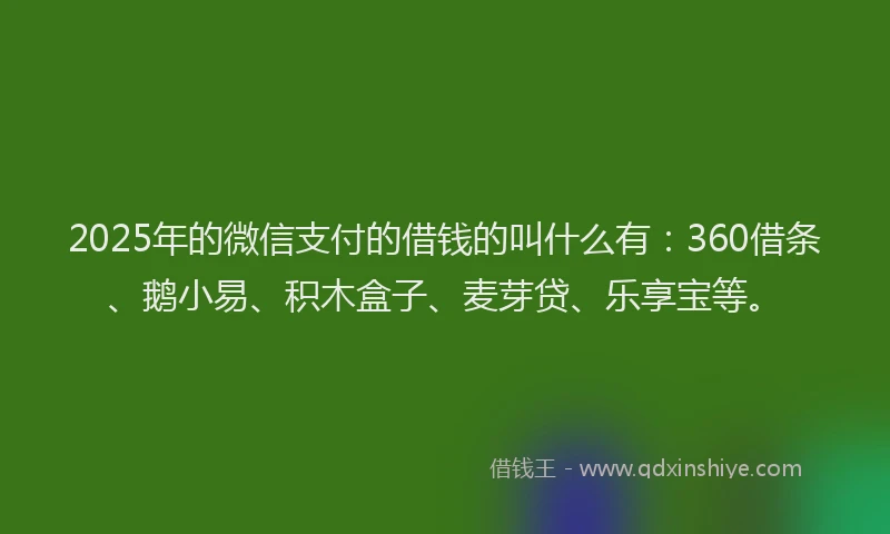 2025年的微信支付的借钱的叫什么有：360借条、鹅小易、积木盒子、麦芽贷、乐享宝等。