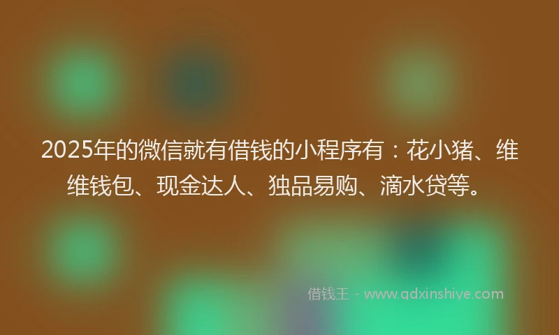 2025年的微信就有借钱的小程序有：花小猪、维维钱包、现金达人、独品易购、滴水贷等。