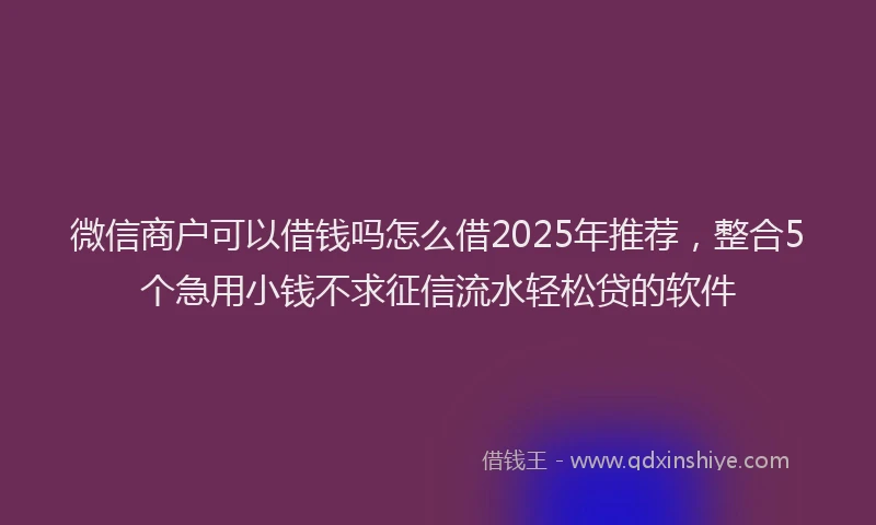 微信商户可以借钱吗怎么借2025年推荐，整合5个急用小钱不求征信流水轻松贷的软件
