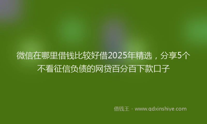 微信在哪里借钱比较好借2025年精选，分享5个不看征信负债的网贷百分百下款口子