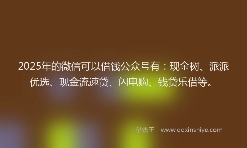 2025年的微信可以借钱公众号有：现金树、派派优选、现金流速贷、闪电购、钱贷乐借等。