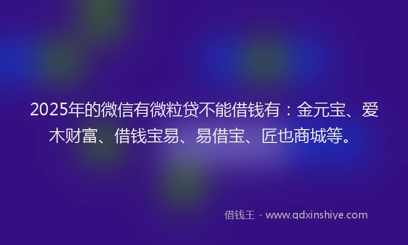 2025年的微信有微粒贷不能借钱有：金元宝、爱木财富、借钱宝易、易借宝、匠也商城等。