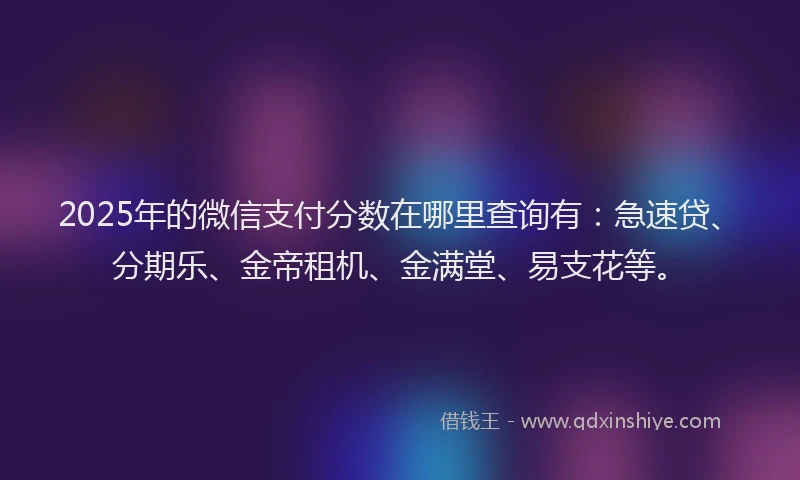 2025年的微信支付分数在哪里查询有：急速贷、分期乐、金帝租机、金满堂、易支花等。