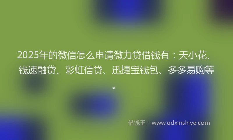 2025年的微信怎么申请微力贷借钱有：天小花、钱速融贷、彩虹信贷、迅捷宝钱包、多多易购等。