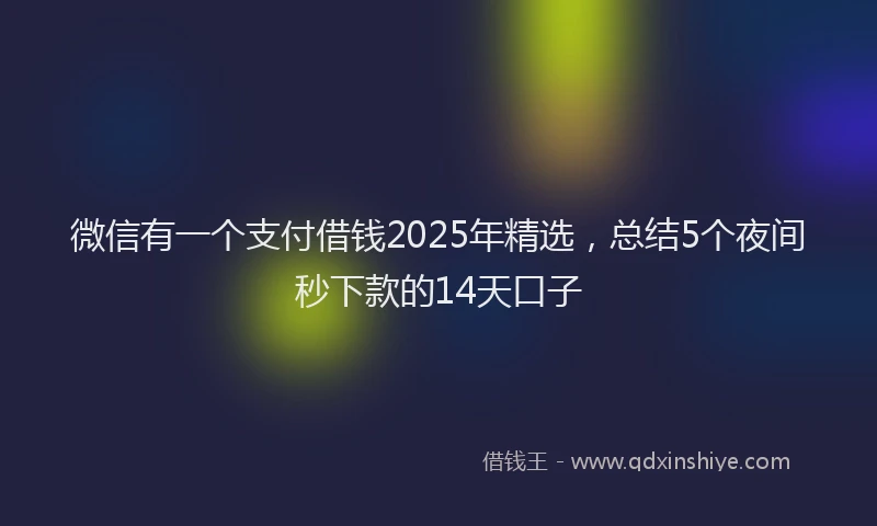 微信有一个支付借钱2025年精选，总结5个夜间秒下款的14天口子