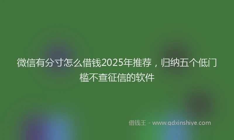 微信有分寸怎么借钱2025年推荐，归纳五个低门槛不查征信的软件