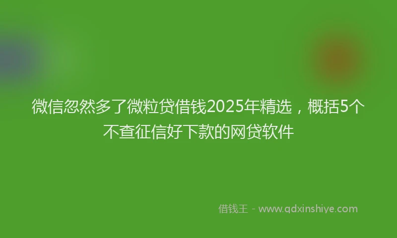 微信忽然多了微粒贷借钱2025年精选，概括5个不查征信好下款的网贷软件