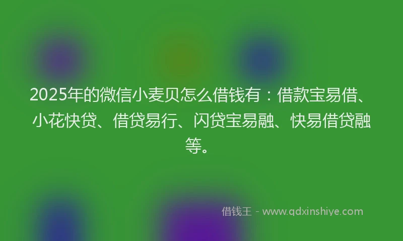 2025年的微信小麦贝怎么借钱有：借款宝易借、小花快贷、借贷易行、闪贷宝易融、快易借贷融等。
