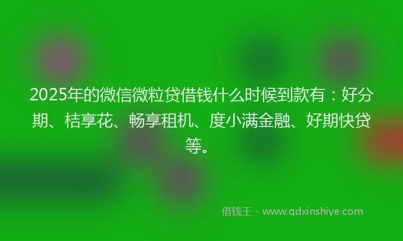 2025年的微信微粒贷借钱什么时候到款有：好分期、桔享花、畅享租机、度小满金融、好期快贷等。