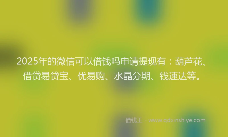 2025年的微信可以借钱吗申请提现有：葫芦花、借贷易贷宝、优易购、水晶分期、钱速达等。