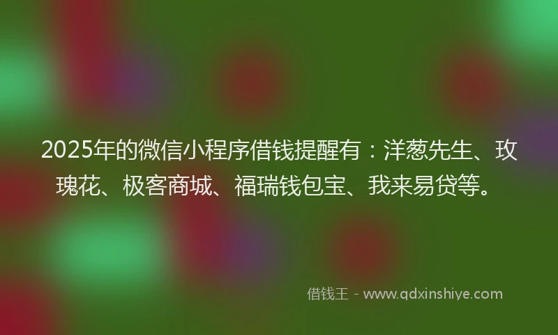 2025年的微信小程序借钱提醒有：洋葱先生、玫瑰花、极客商城、福瑞钱包宝、我来易贷等。