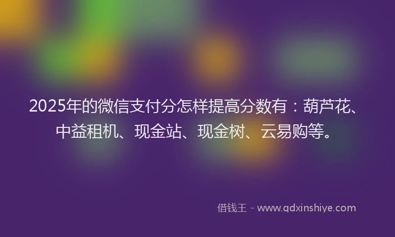 2025年的微信支付分怎样提高分数有：葫芦花、中益租机、现金站、现金树、云易购等。