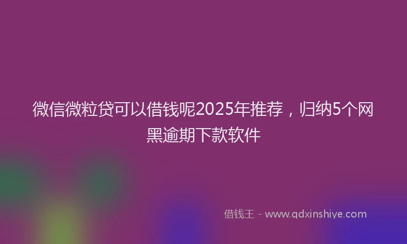 微信微粒贷可以借钱呢2025年推荐，归纳5个网黑逾期下款软件