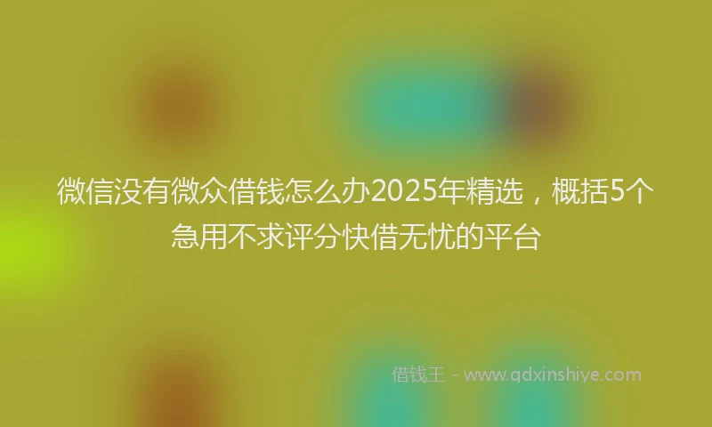 微信没有微众借钱怎么办2025年精选，概括5个急用不求评分快借无忧的平台