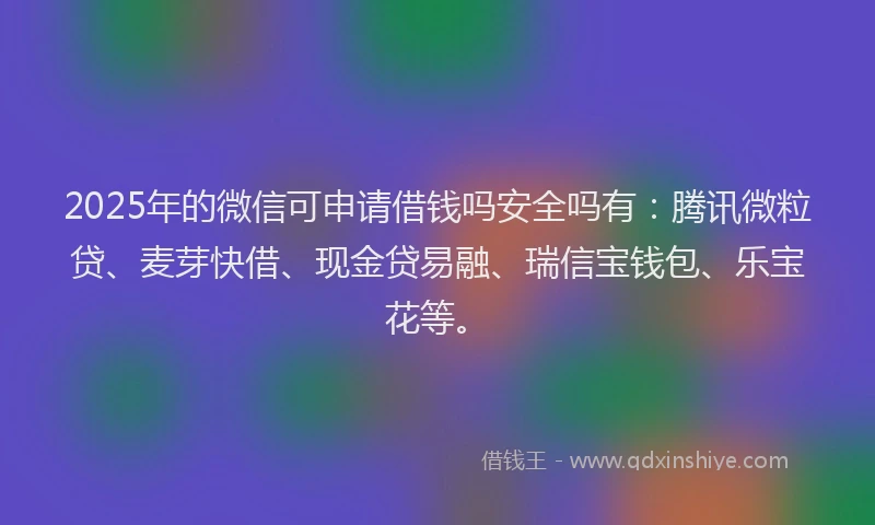 2025年的微信可申请借钱吗安全吗有：腾讯微粒贷、麦芽快借、现金贷易融、瑞信宝钱包、乐宝花等。