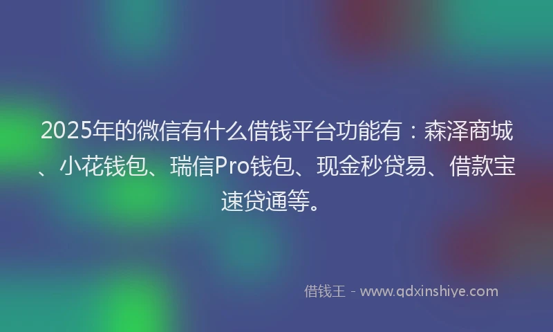 2025年的微信有什么借钱平台功能有：森泽商城、小花钱包、瑞信Pro钱包、现金秒贷易、借款宝速贷通等。