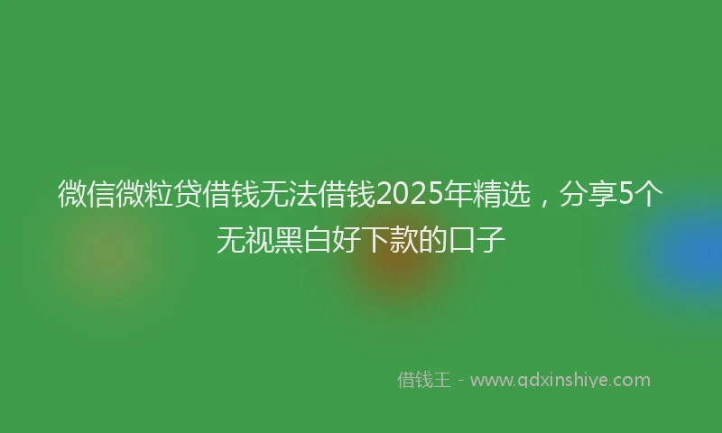 微信微粒贷借钱无法借钱2025年精选，分享5个无视黑白好下款的口子