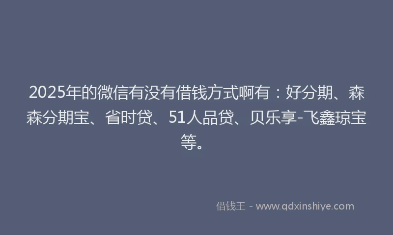 2025年的微信有没有借钱方式啊有：好分期、森森分期宝、省时贷、51人品贷、贝乐享-飞鑫琼宝等。