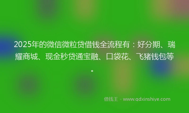 2025年的微信微粒贷借钱全流程有：好分期、瑞耀商城、现金秒贷通宝融、口袋花、飞猪钱包等。