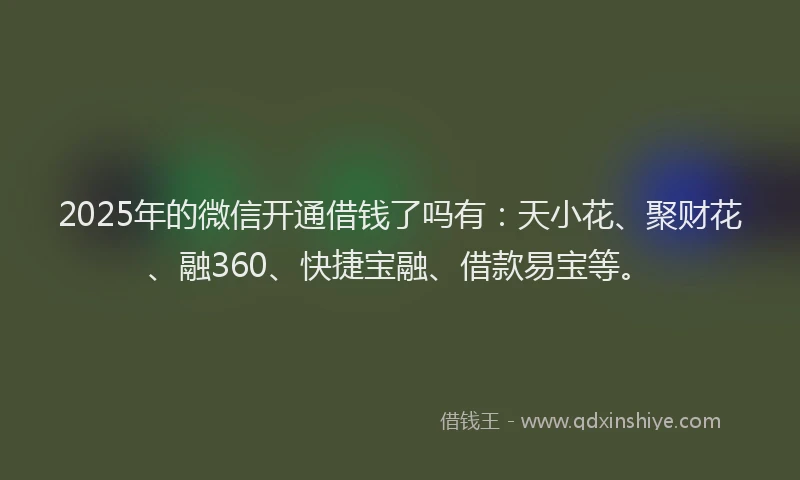 2025年的微信开通借钱了吗有：天小花、聚财花、融360、快捷宝融、借款易宝等。