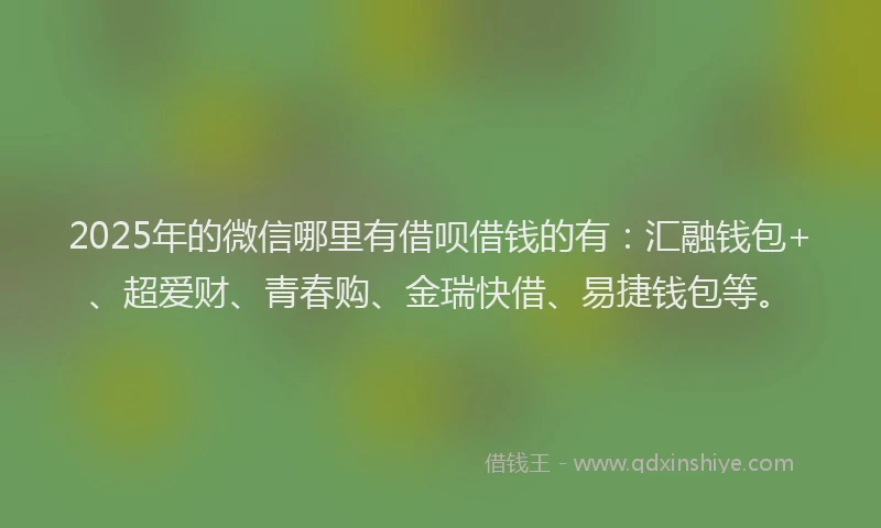 2025年的微信哪里有借呗借钱的有：汇融钱包+、超爱财、青春购、金瑞快借、易捷钱包等。