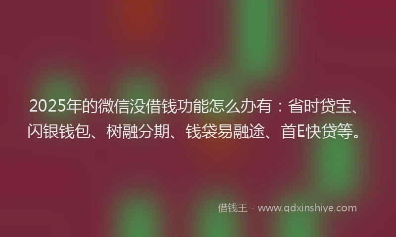 2025年的微信没借钱功能怎么办有：省时贷宝、闪银钱包、树融分期、钱袋易融途、首E快贷等。