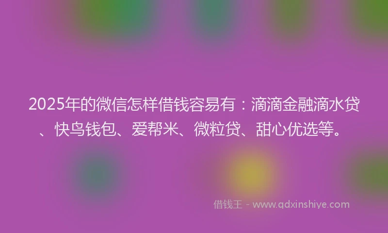 2025年的微信怎样借钱容易有：滴滴金融滴水贷、快鸟钱包、爱帮米、微粒贷、甜心优选等。