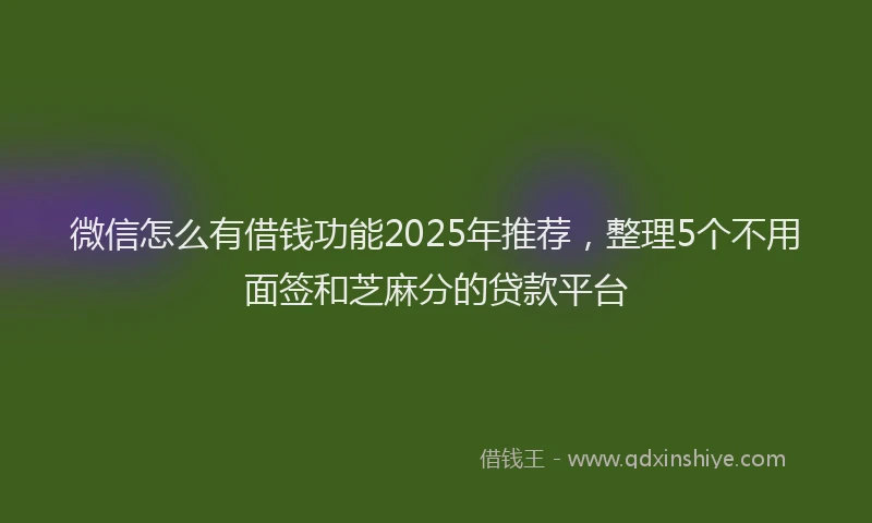 微信怎么有借钱功能2025年推荐，整理5个不用面签和芝麻分的贷款平台