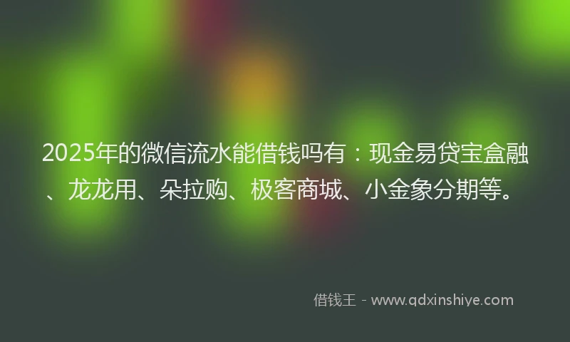 2025年的微信流水能借钱吗有：现金易贷宝盒融、龙龙用、朵拉购、极客商城、小金象分期等。