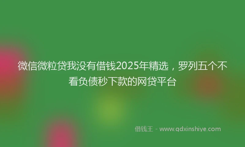 微信微粒贷我没有借钱2025年精选，罗列五个不看负债秒下款的网贷平台