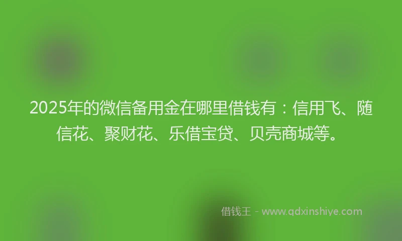2025年的微信备用金在哪里借钱有：信用飞、随信花、聚财花、乐借宝贷、贝壳商城等。
