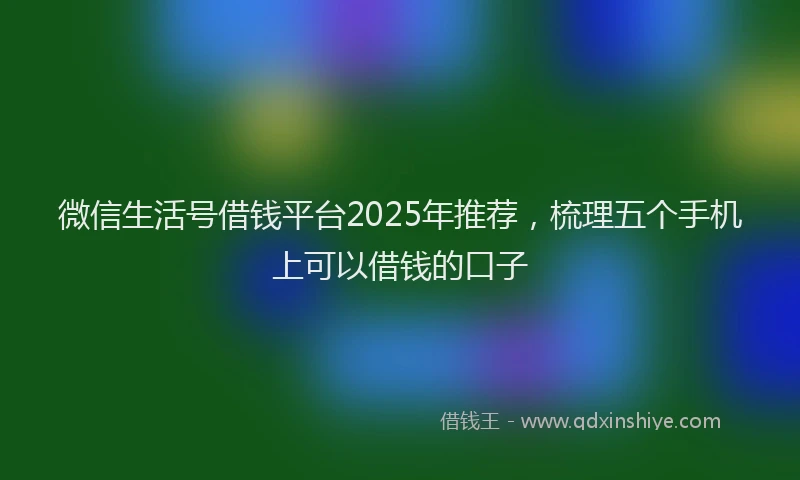 微信生活号借钱平台2025年推荐，梳理五个手机上可以借钱的口子