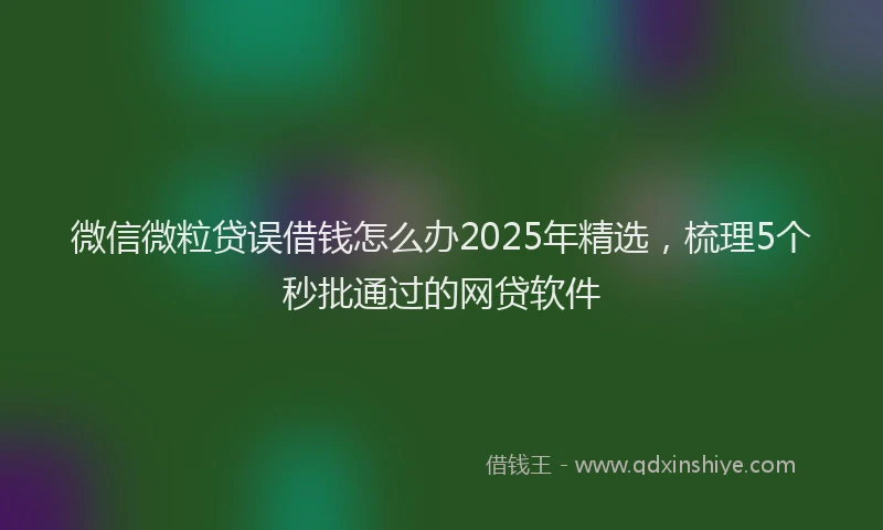 微信微粒贷误借钱怎么办2025年精选，梳理5个秒批通过的网贷软件