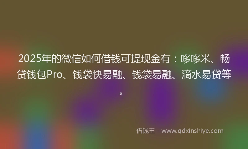 2025年的微信如何借钱可提现金有：哆哆米、畅贷钱包Pro、钱袋快易融、钱袋易融、滴水易贷等。