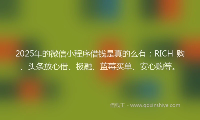 2025年的微信小程序借钱是真的么有：RICH-购、头条放心借、极融、蓝莓买单、安心购等。