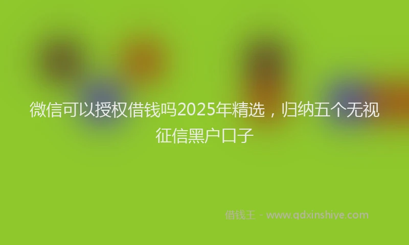微信可以授权借钱吗2025年精选，归纳五个无视征信黑户口子