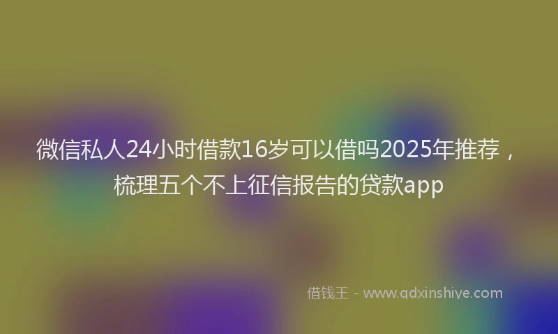 微信私人24小时借款16岁可以借吗2025年推荐，梳理五个不上征信报告的贷款app