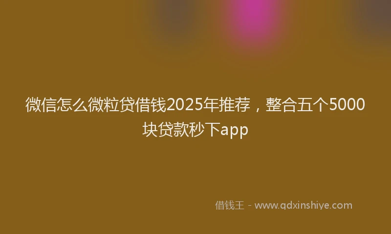 微信怎么微粒贷借钱2025年推荐，整合五个5000块贷款秒下app