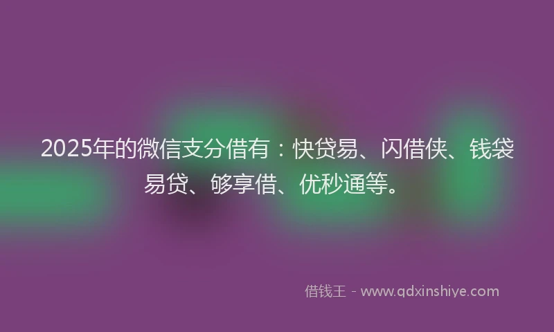 2025年的微信支分借有：快贷易、闪借侠、钱袋易贷、够享借、优秒通等。