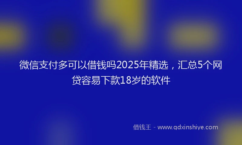 微信支付多可以借钱吗2025年精选，汇总5个网贷容易下款18岁的软件