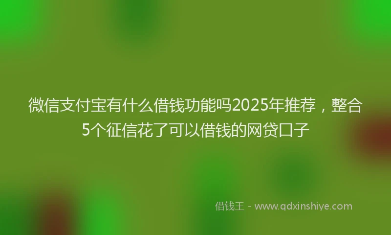 微信支付宝有什么借钱功能吗2025年推荐，整合5个征信花了可以借钱的网贷口子