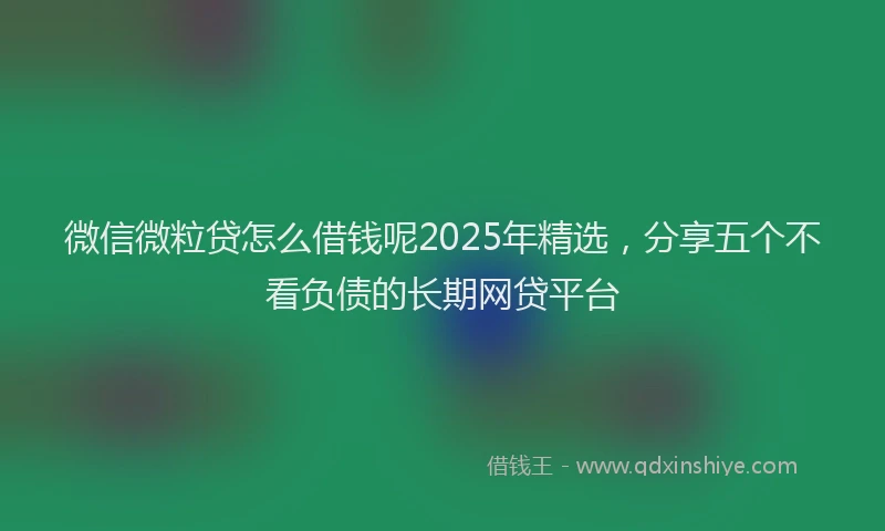 微信微粒贷怎么借钱呢2025年精选，分享五个不看负债的长期网贷平台
