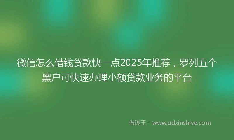 微信怎么借钱贷款快一点2025年推荐，罗列五个黑户可快速办理小额贷款业务的平台