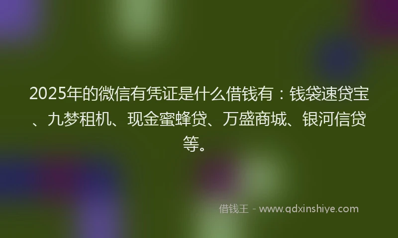 2025年的微信有凭证是什么借钱有：钱袋速贷宝、九梦租机、现金蜜蜂贷、万盛商城、银河信贷等。